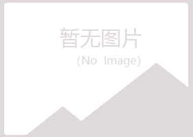 宁夏平淡化学有限公司